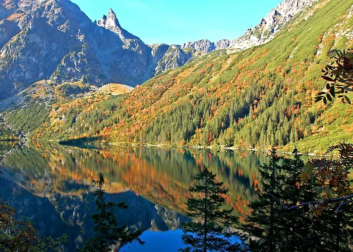 Appartamento Krupowki 36/8 *